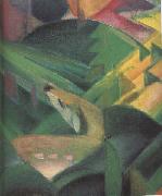 Franz Marc Details of The Monkey (mk34) oil painting reproduction